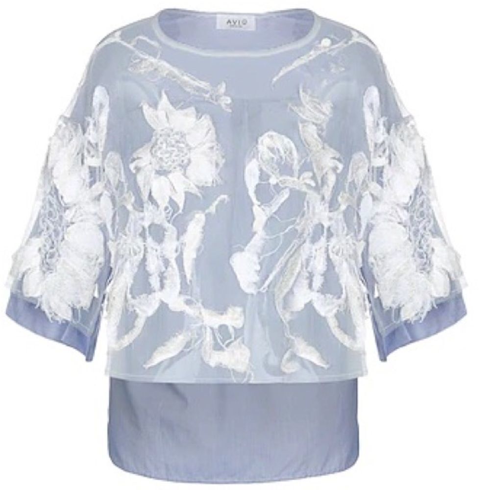 Blue Floral Embroidered Blouse